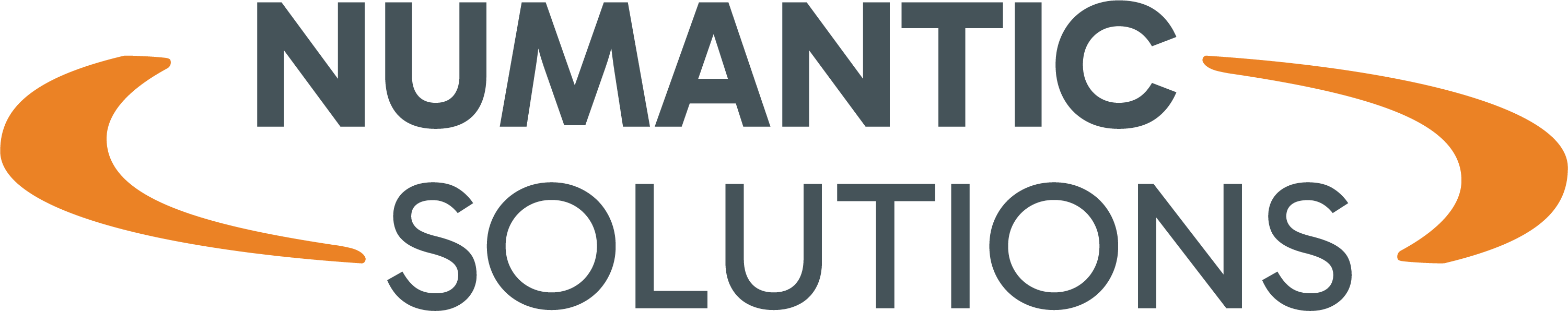 Numantic Solutions Logo